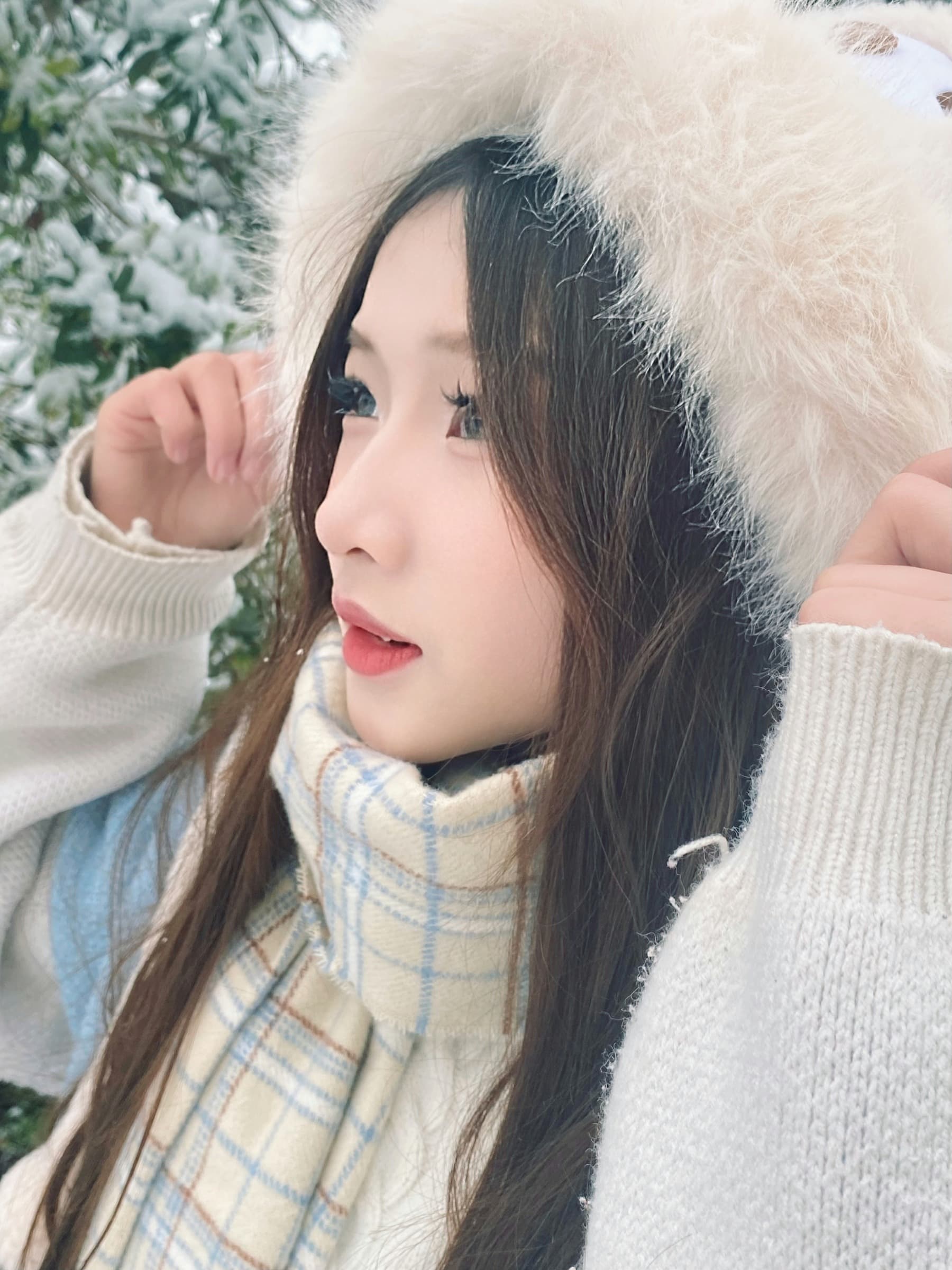 旧物 · 收集
